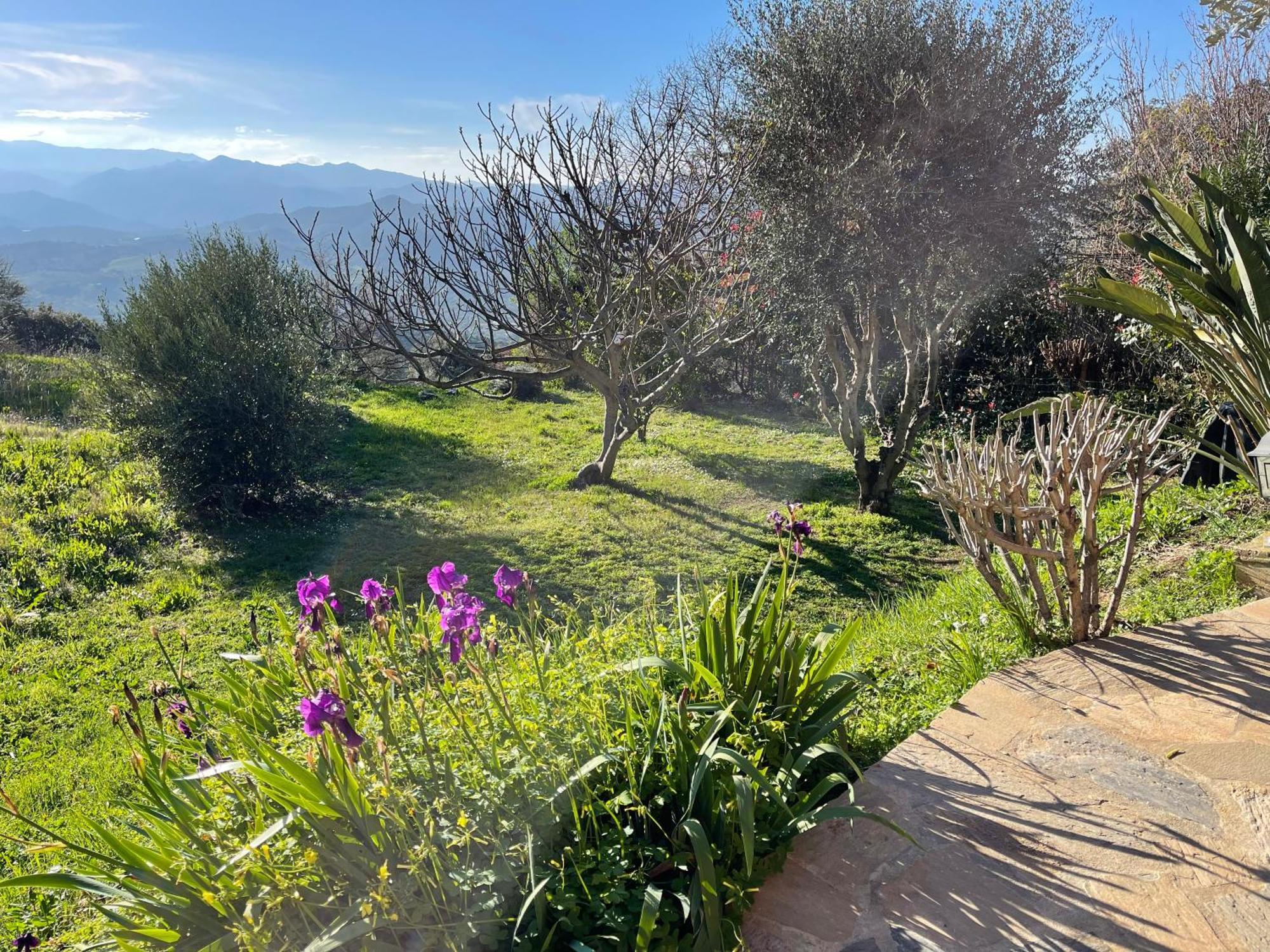 Carpediem_Corsica Poggio-d'Oletta Eksteriør billede