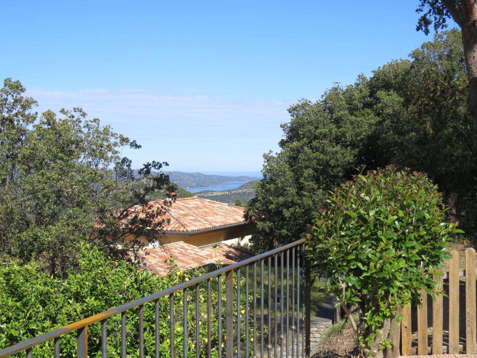 Carpediem_Corsica Poggio-d'Oletta Eksteriør billede