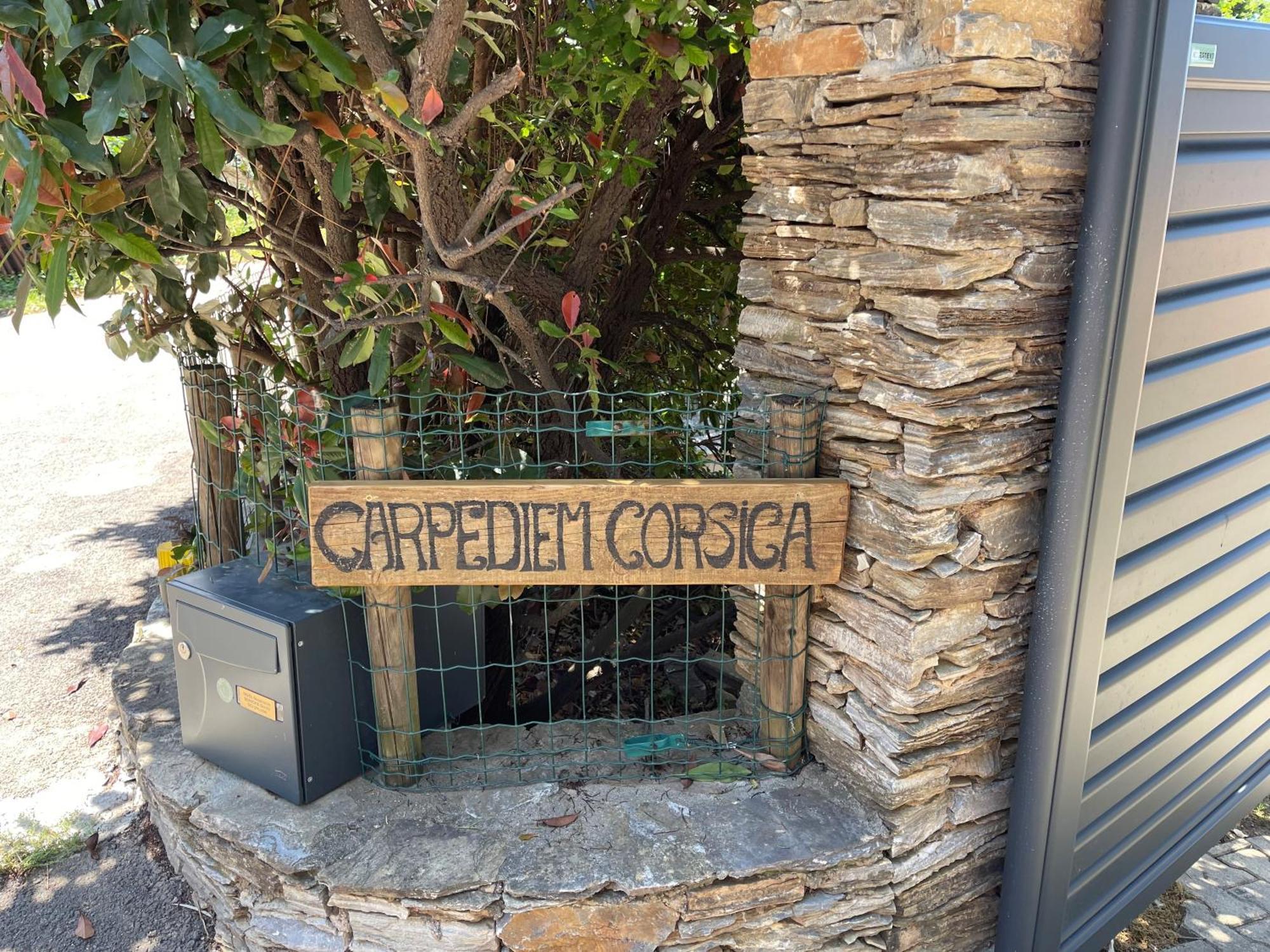 Carpediem_Corsica Poggio-d'Oletta Eksteriør billede